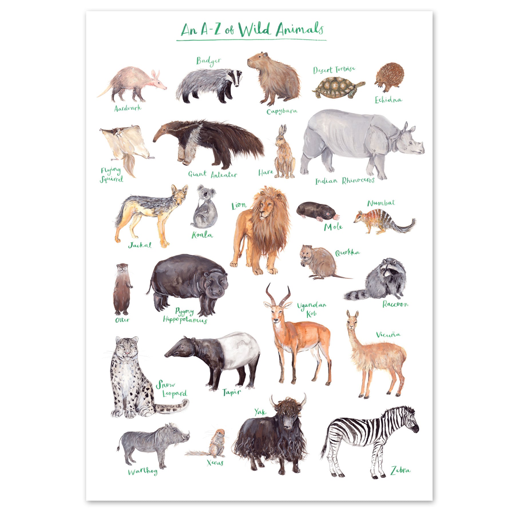 A3 A to Z of Wild Animals Art Print by Fiona Purves | Curiouser