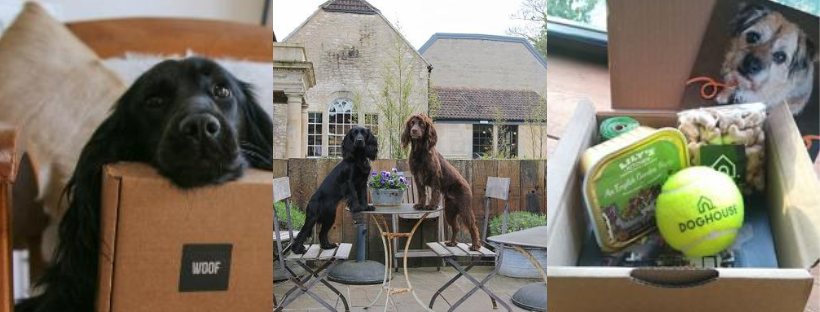 Dog Friendly Hotel: Timbrell's Yard Bradford on Avon