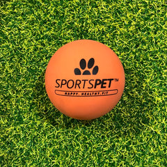 sportspet rubber bounce ball