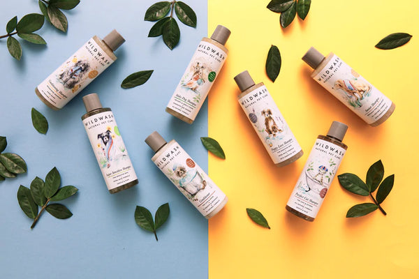 Wildwash Senior Shampoo - Doghouse