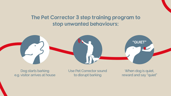 Pet Corrector