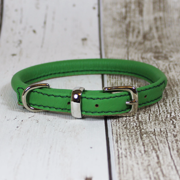 green dog collar