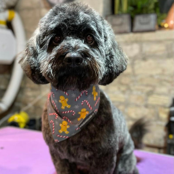 christmas bandana for dogs