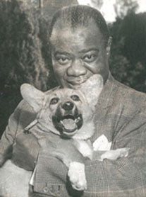 Louis Armstrong - Corgi dog bred by Mrs, Shearer
