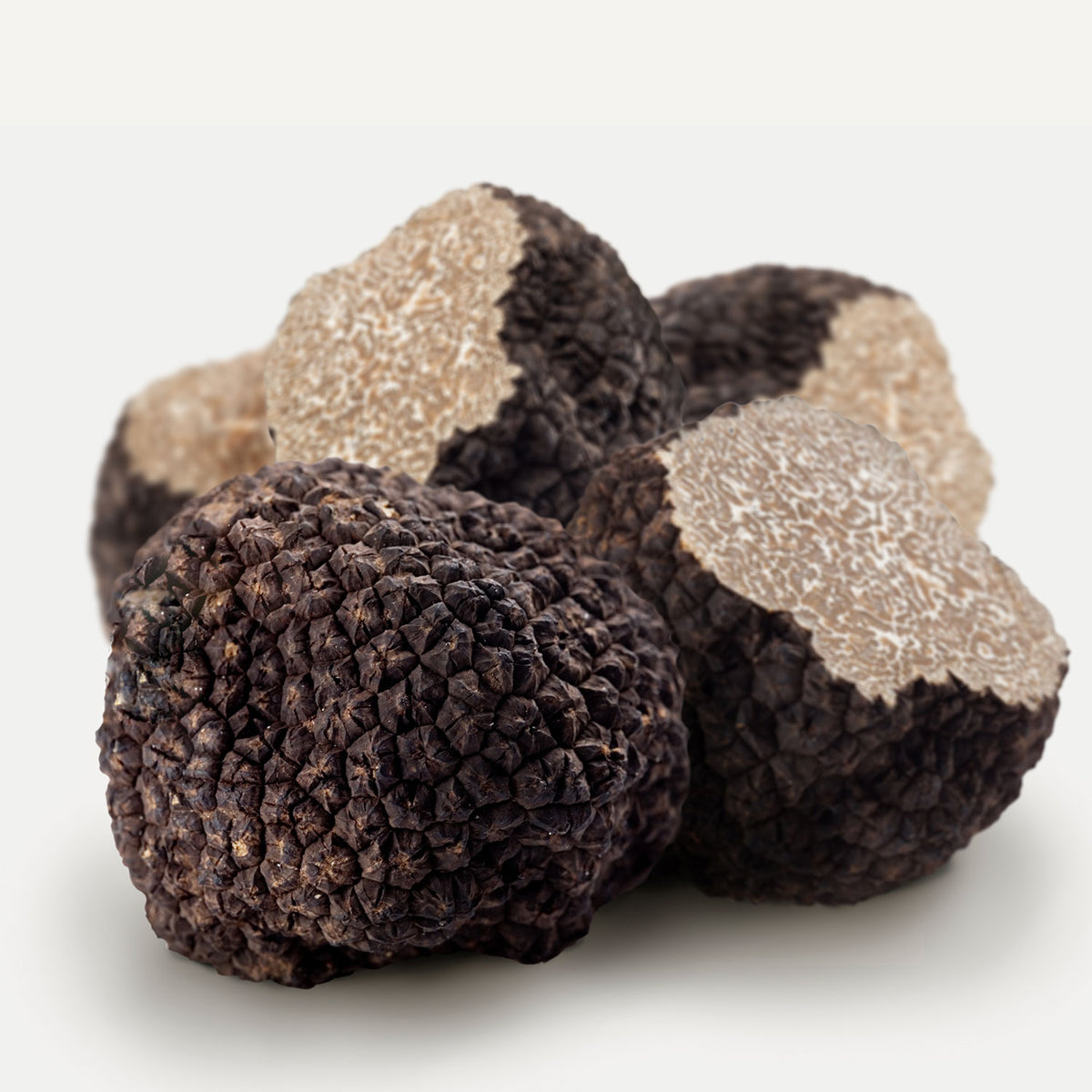 Fresh Black Summer Truffles 8 oz - Sabatino Truffles