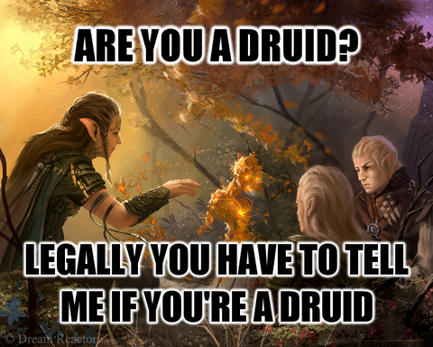 Are you a druid?  Legally, you have to tell me if you're a druid.
