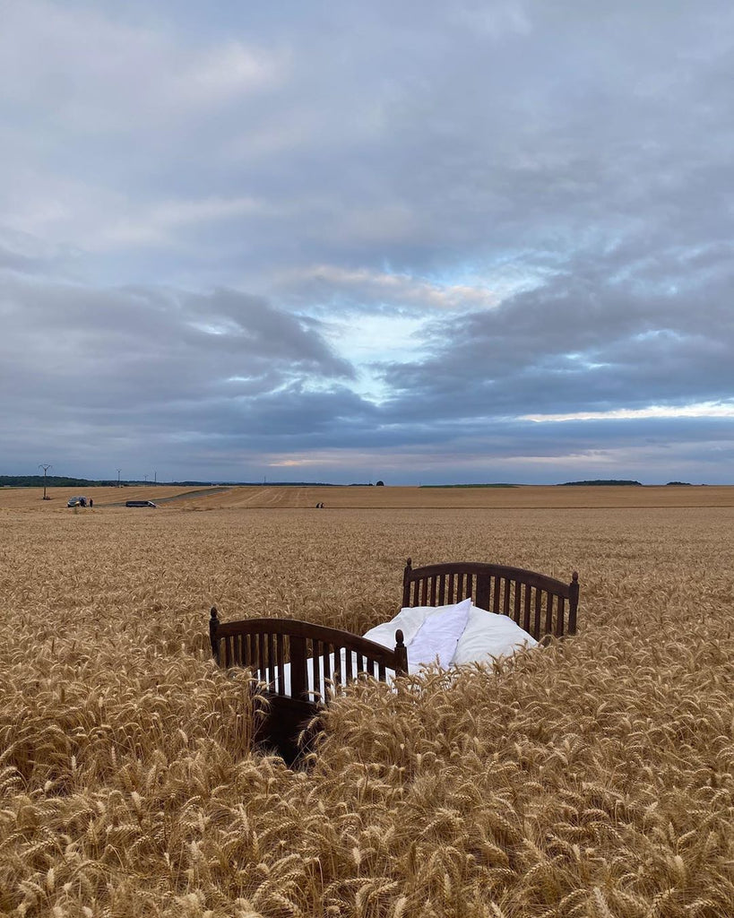 Bed with brown bed frame in a field of wheat.