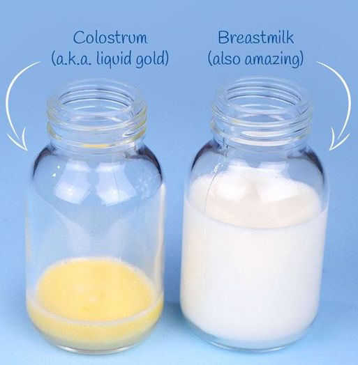 first breast milk