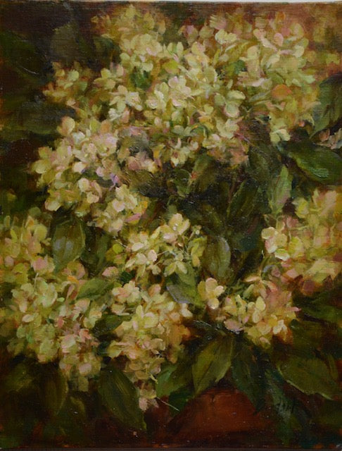 Shaded Hydrangeas by Stephanie Birdsall