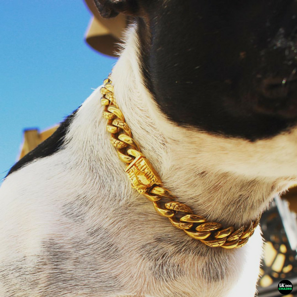small dog chains