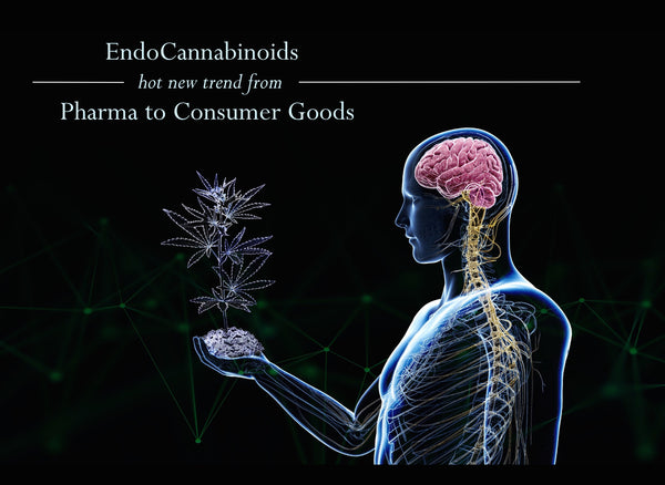 Endocannabinoids cbd thc cannabis 