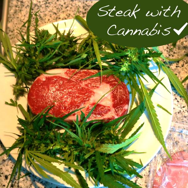 Cannabis steak 