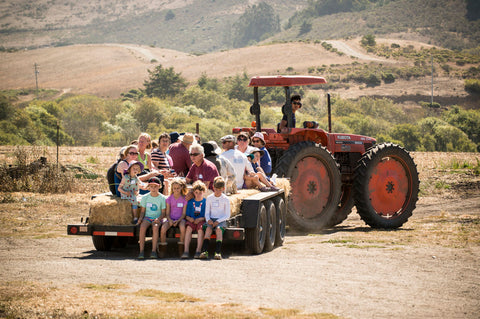 Blue House Farm