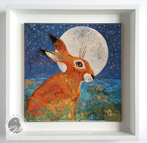 hare in a floater frame