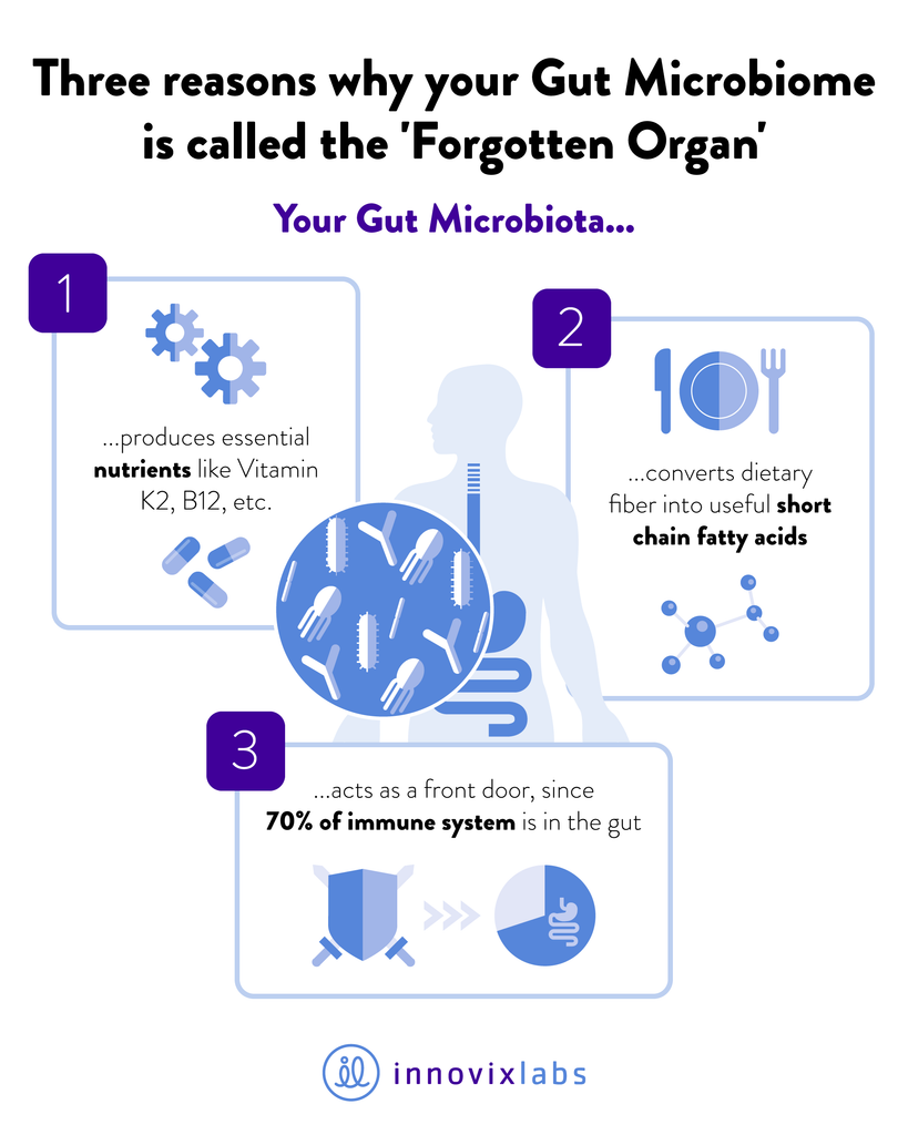 Gut microbiome probiotic functions Vitamin K2, immunity, short chain fatty acids