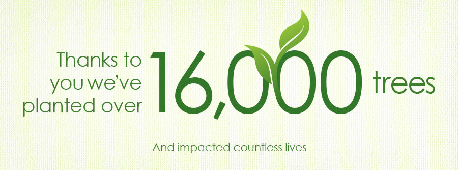16,000 Tree Planted