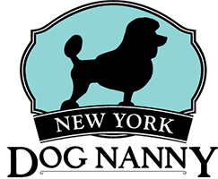 New York Dog Nanny