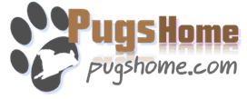 Pug's Home