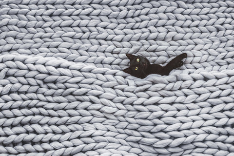 photo of a black cat in a chunky knitted blanket.