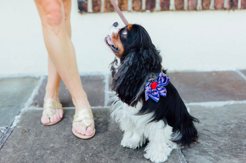 Preppy Red White and Blue Patriotic Stripes Girl Dog Flower Bow Tie Collar