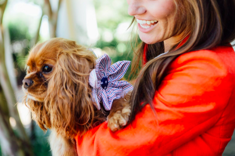 Seersucker stars and stripes girl dog flower bow tie