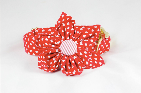 Red hearts girl dog flower bow tie collar valentine's day 