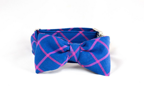 blue and pink plaid bow tie collar