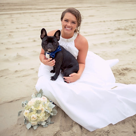 Navy Blue Anchor Bow Tie Collar