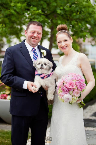 Navy and Pink Stripe Bow Tie Collar