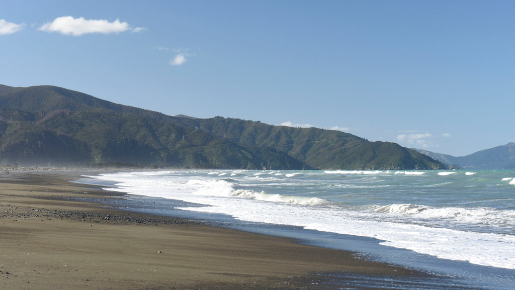 New Zealand's stunning coastline