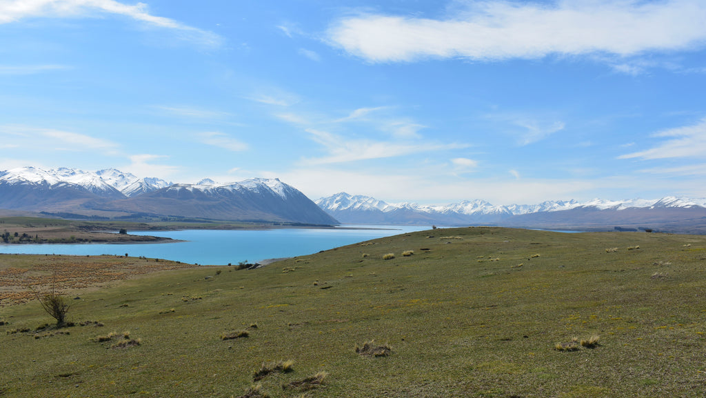 Lake Tekapo