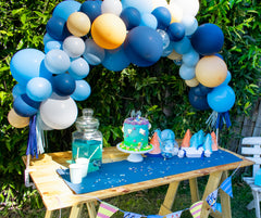 Bluey Picnic Party