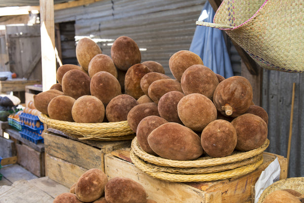 African Baobab Fruit in Marketplace