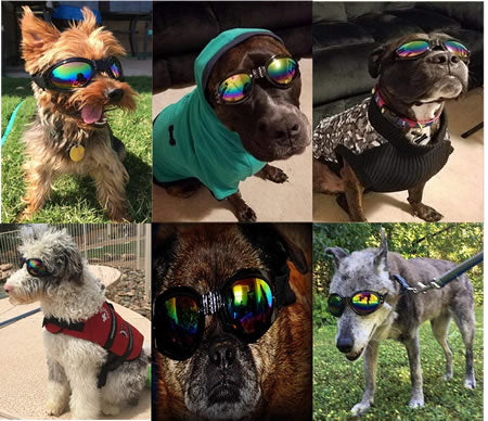 Dog Sunglasses, UV Resistant Shatterproof Glasses