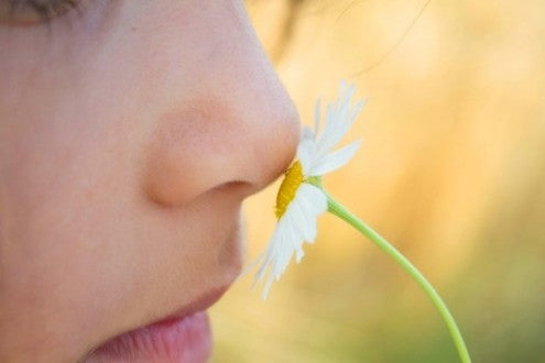 Woman smelling white flower.