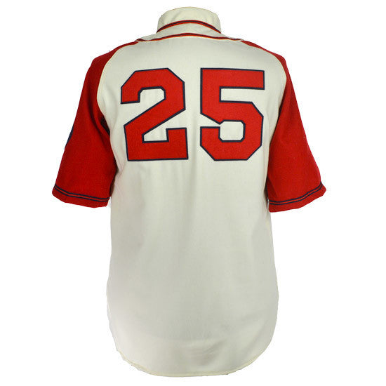 baseball jersey 25