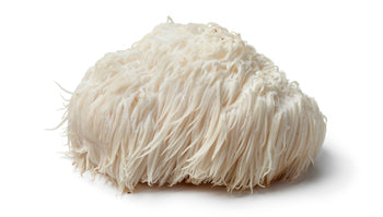 Teelixir Certified Organic Lion's Mane Mushroom Extract Powder