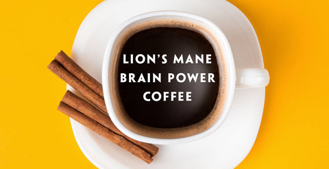 Teelixir Lion's Mane Mushroom Brain Power Coffee Recipe