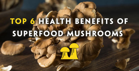 Top 6 Health Benefits of Superfood Medicinal Mushrooms Extract Powder