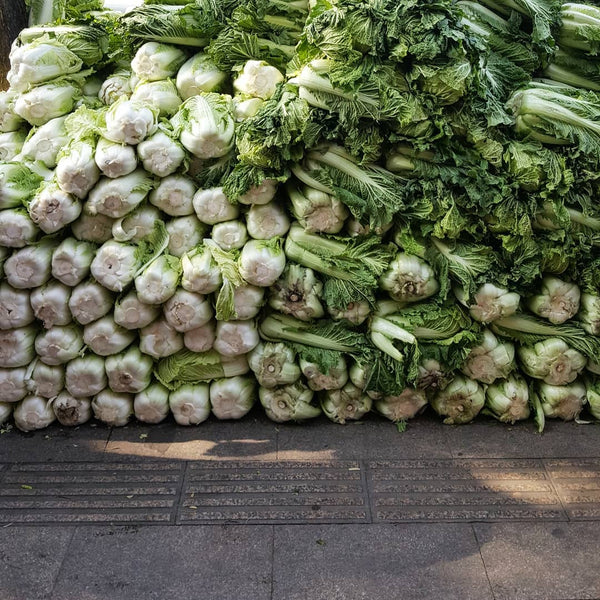 Huge stockpile of cabbages in China