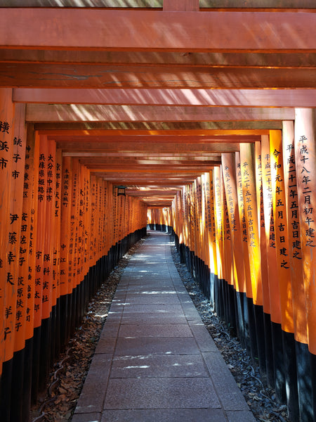 Beautiful orange gates of Fushimi Inari shrine
