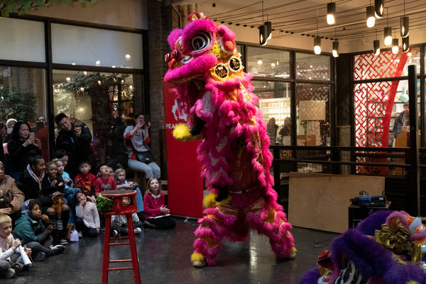 Two lion dancers standing upright