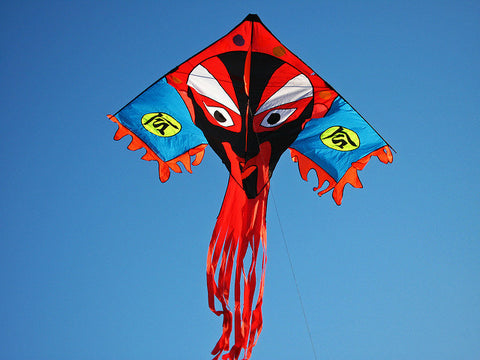 Special kite for Qingming Festival