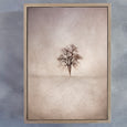 Lone Tree 1 WARM
