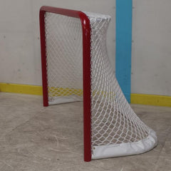 U8 Ice Hockey Net