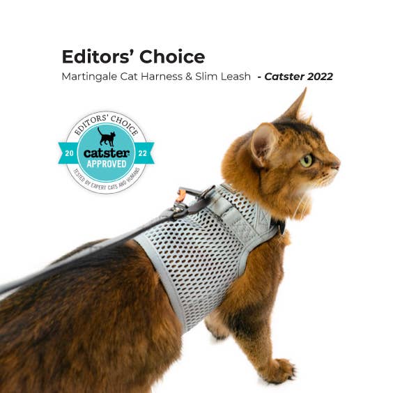 martingale cat harness