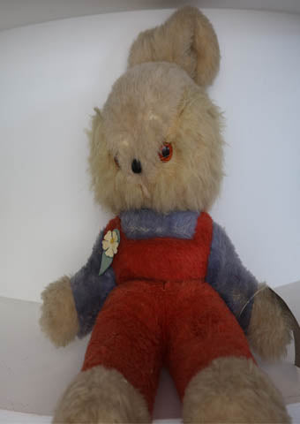 pedigree teddy bear 1950s