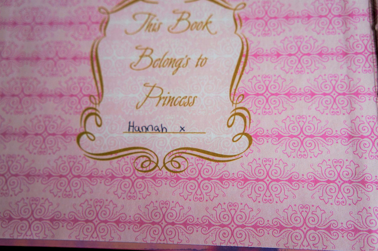 Walt Disney World - Disney Princess Official Autograph Book With Cinderella Autographs