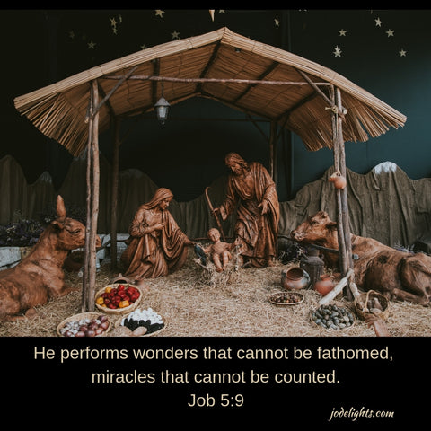 Nativity Wonder