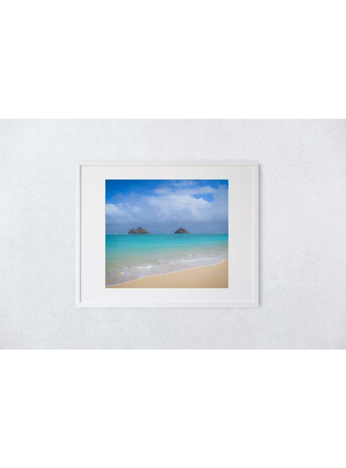 Butterfly in the Wind Home Lanikai Art Print (5 x 7) sungkyulgapa